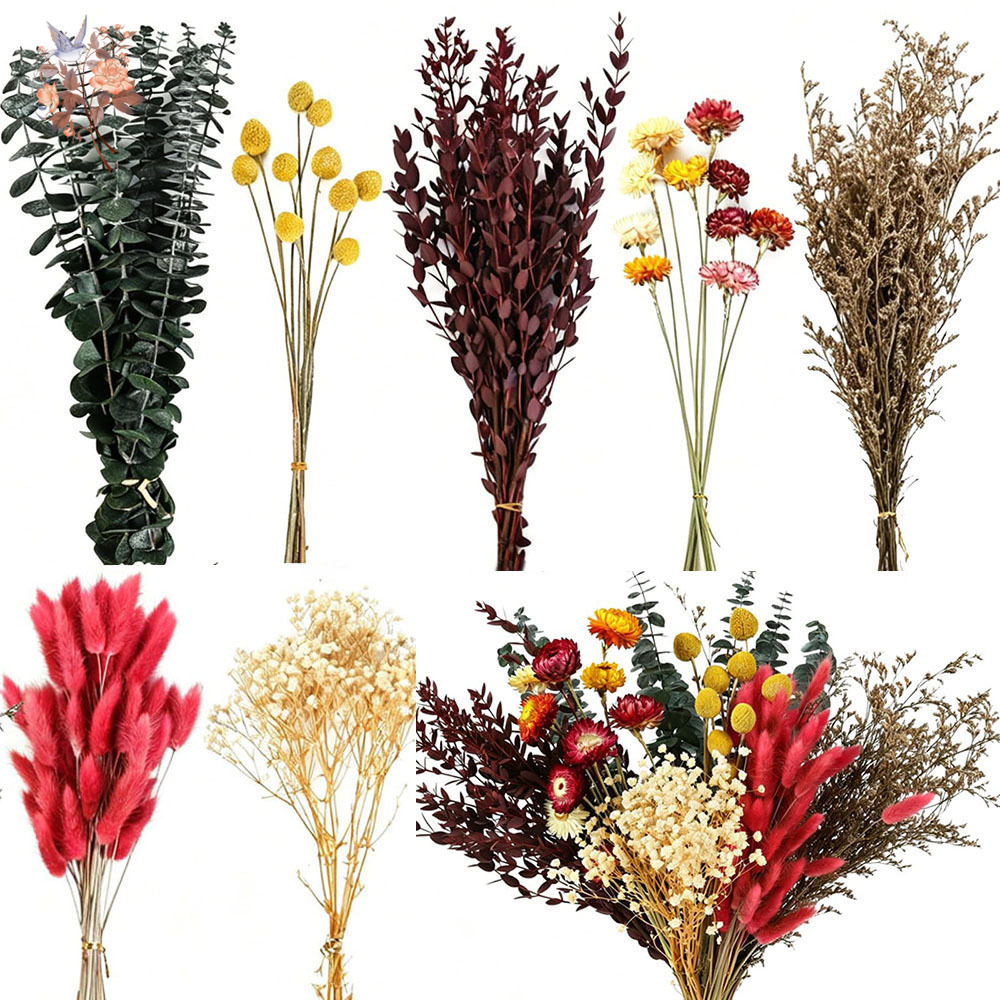 مجموعة كبيرة من الزهور المجففة - مراجعة Wedding Supply In Bulk وسعره